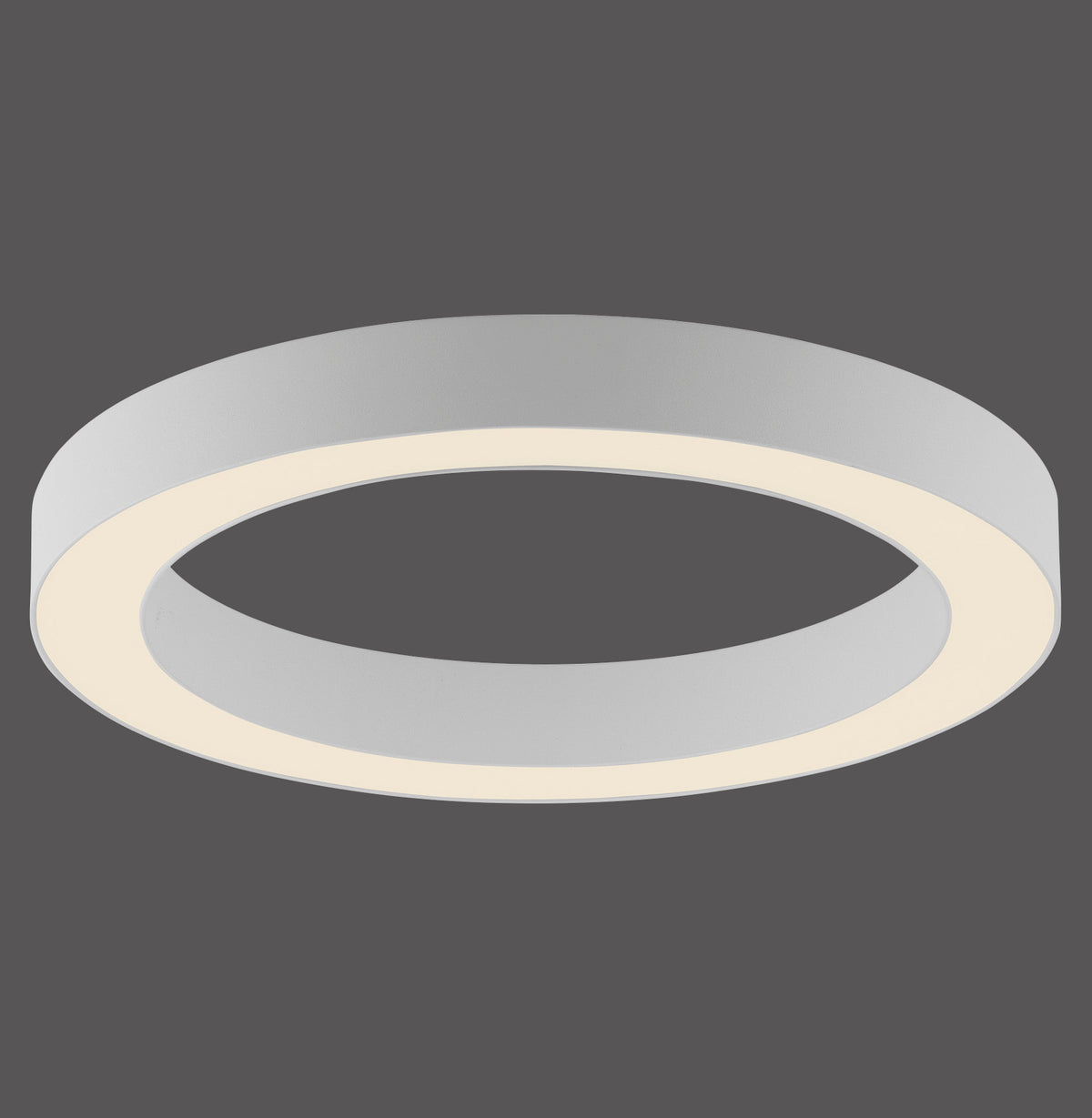 Vue en perspective du bandeau circulaire blanc sur fond gris anthracite uni