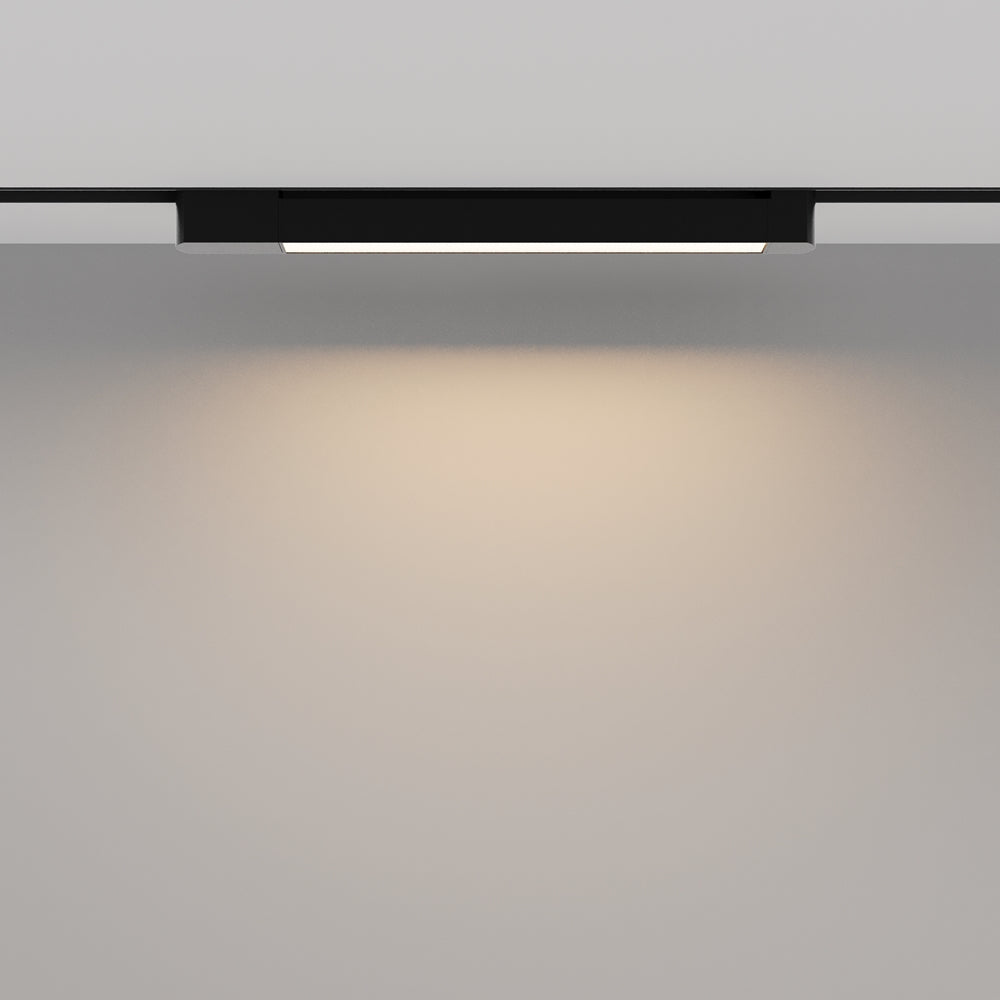 Basis Rot Spot noir
