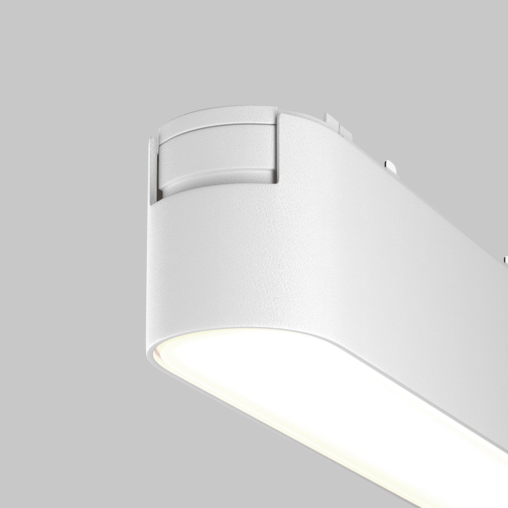 Basis Spot blanc