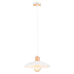 Suspension luminaire | Albira