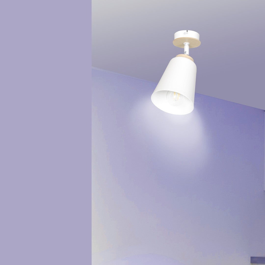 Plafonnier Atlas 1 lumière blanc