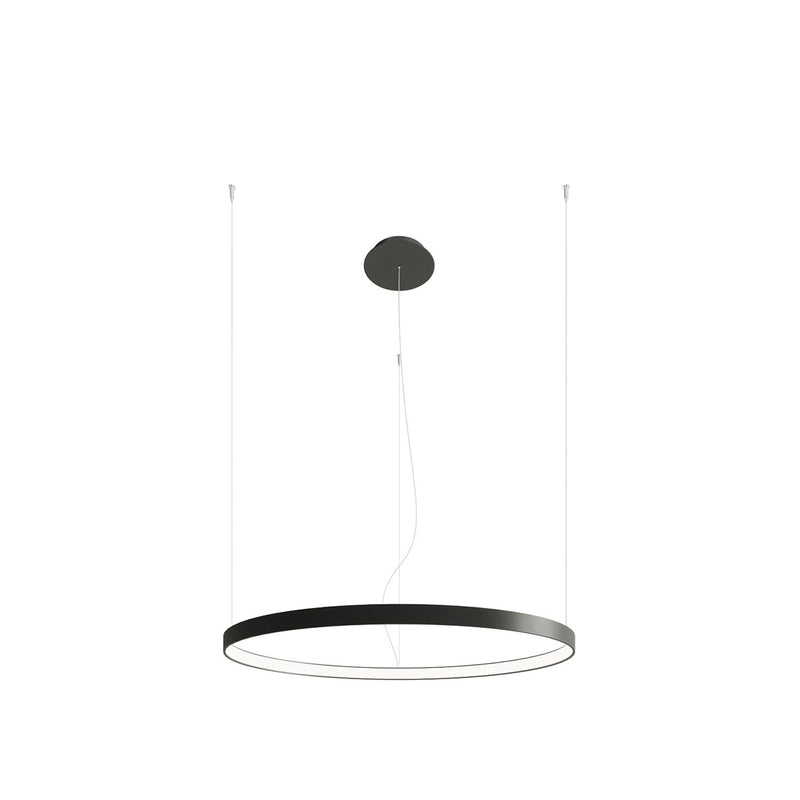 Lustre | Alistair