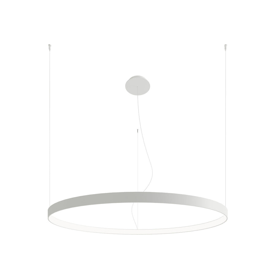 Lustre annulaire blanc suspendu, vue de face sur fond blanc, câbles fins et rosace.