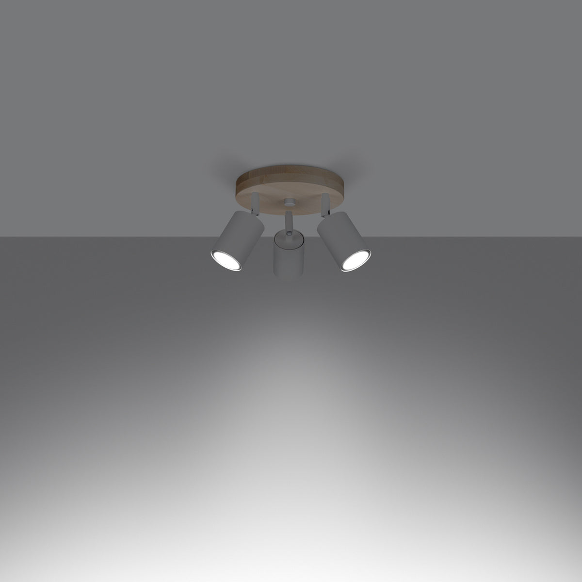 Plafonnier VERDO 3P
