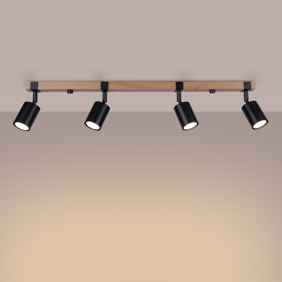 Plafonnier FAGER 4L noir