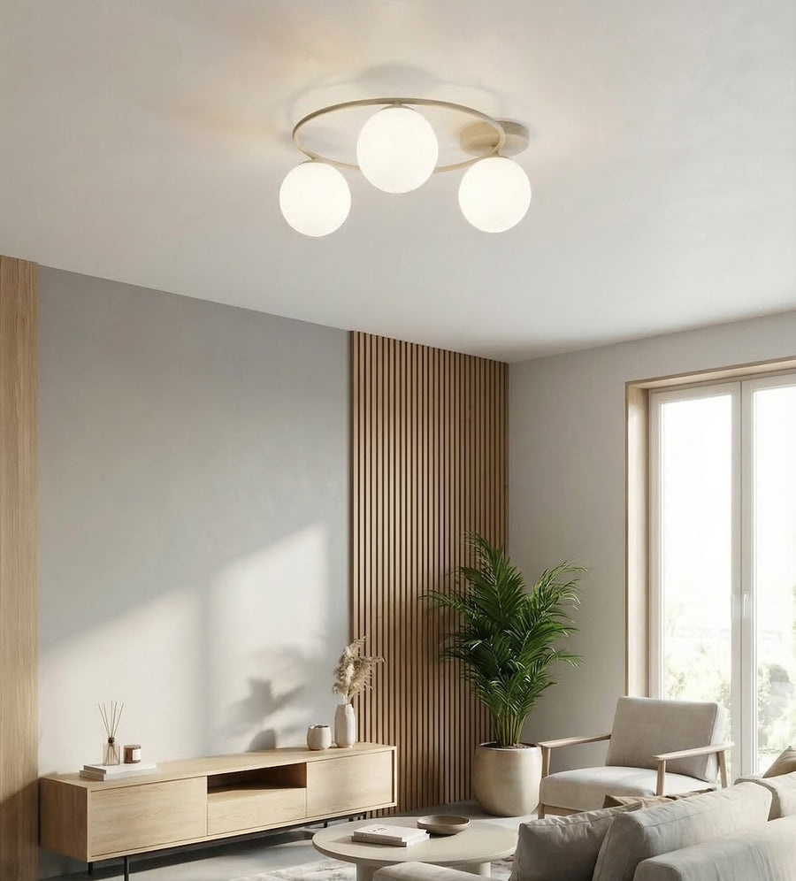 Mise en ambiance salon avec mur lambris bois, plante et meuble TV