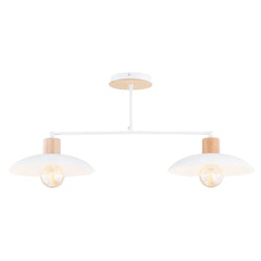 Suspension luminaire | Dualia