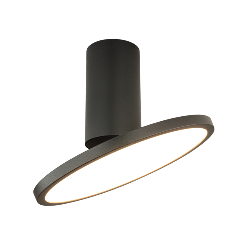 Vue rapprochée du cylindre fixe et de l'anneau LED orientable en biais