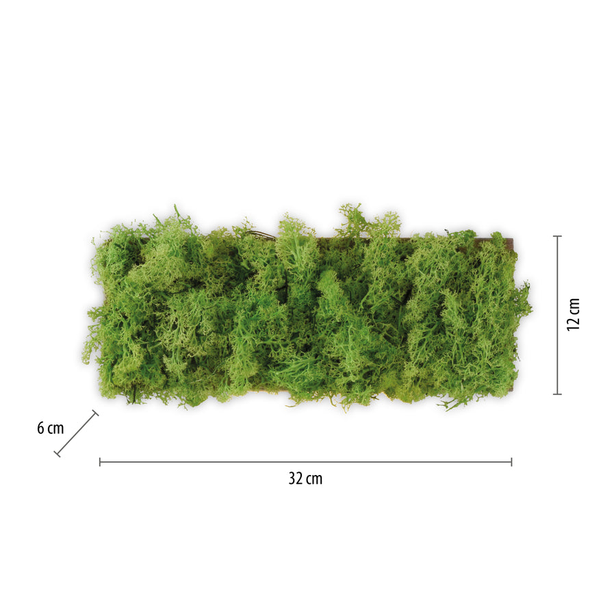 Plafonnier Green Carl