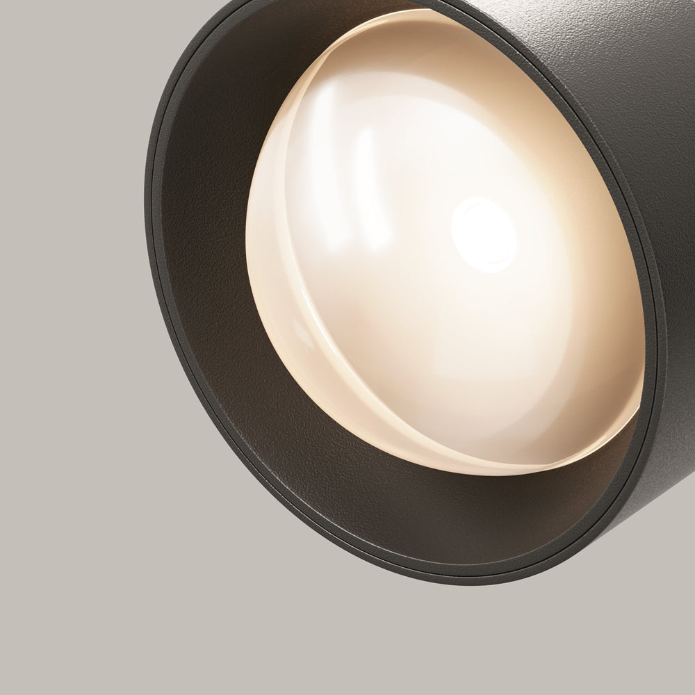 Lens Spot noir