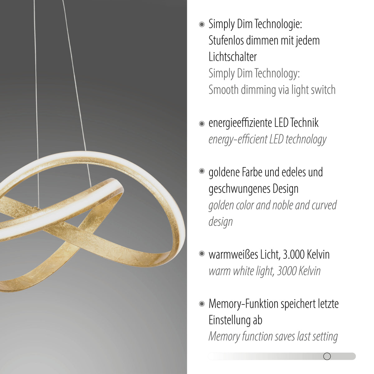 Détail du luminaire accompagné d'une liste de caractéristiques techniques en allemand
