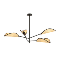 Suspension luminaire | Cassiopea