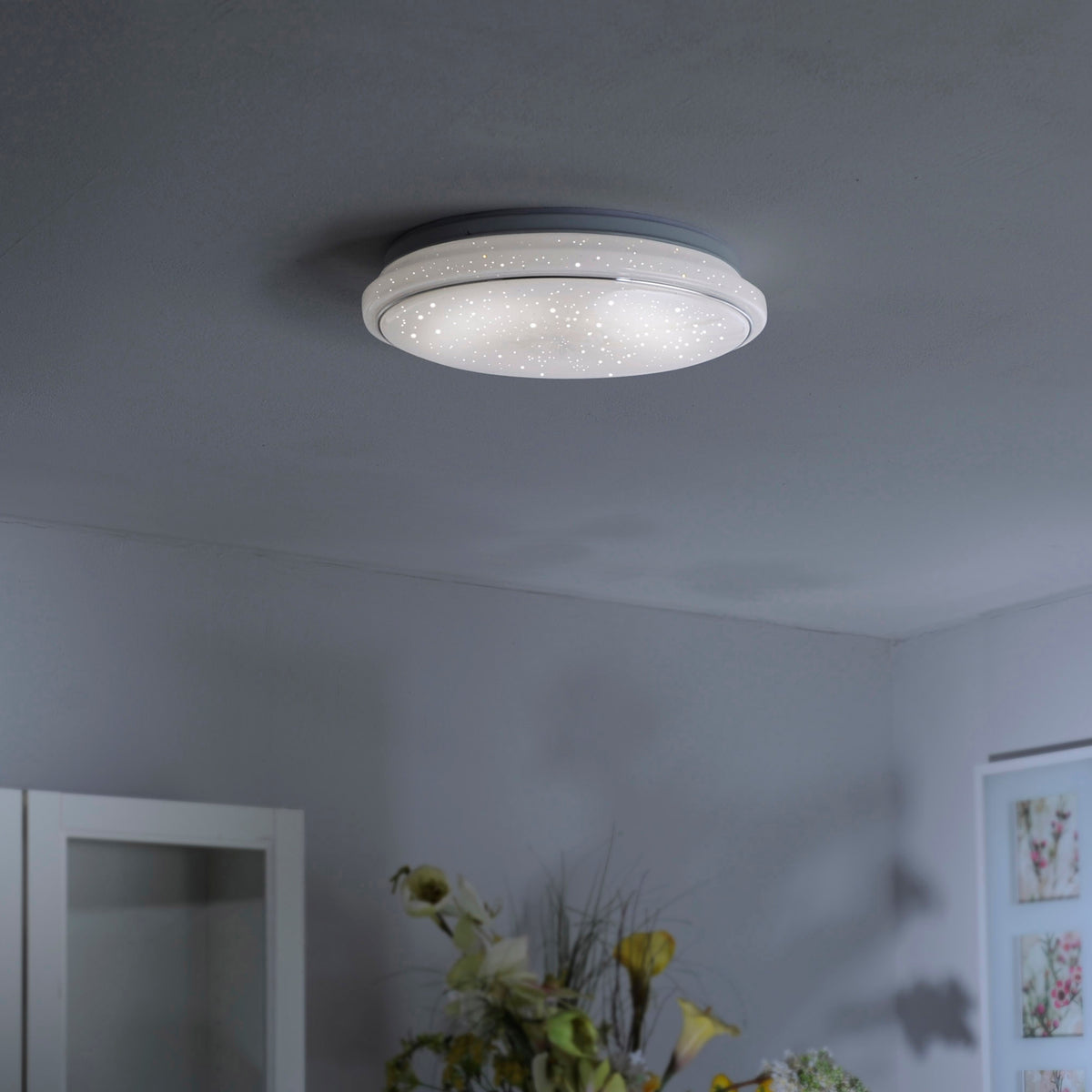 Plafonnier installé au plafond dans une pièce, éclairant un intérieur avec des fleurs.