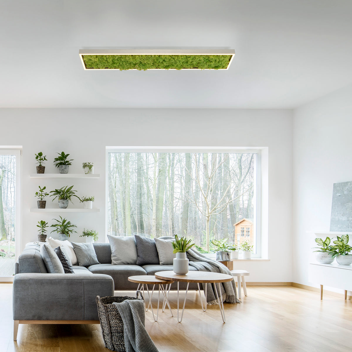 Mise en ambiance dans un salon moderne, plafonnier vert suspendu au plafond blanc.