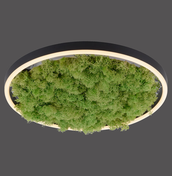 Plafonnier LED | Green Ritus