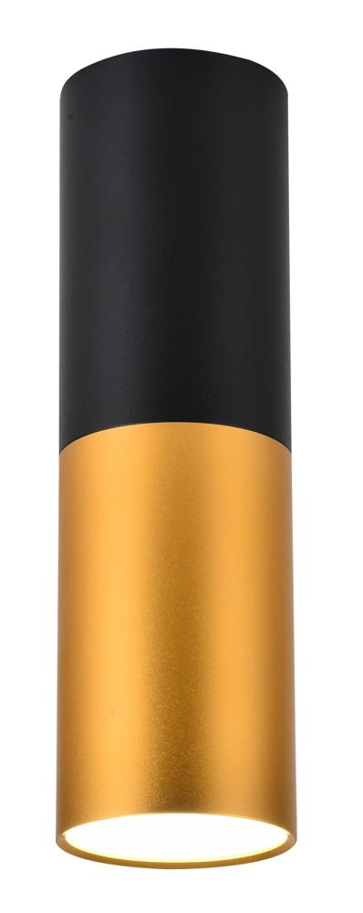 Spot cylindrique noir et doré présenté de face sur fond blanc, vue produit détaillée.