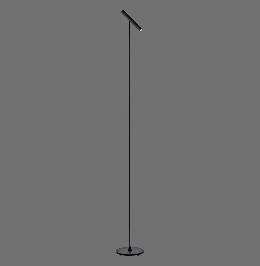 Lampadaire noir vu de profil sur fond gris, tige fine et tête tubulaire inclinée