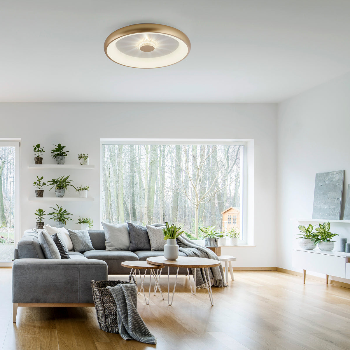 Mise en ambiance du plafonnier au plafond d'un salon gris clair