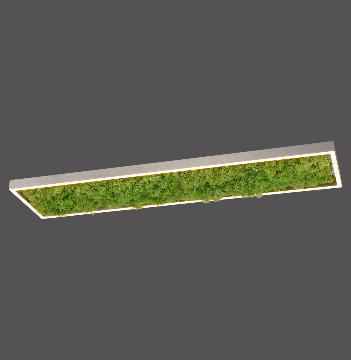 Vue inclinée du plafonnier rectangulaire en mousse végétale avec cadre lumineux LED.