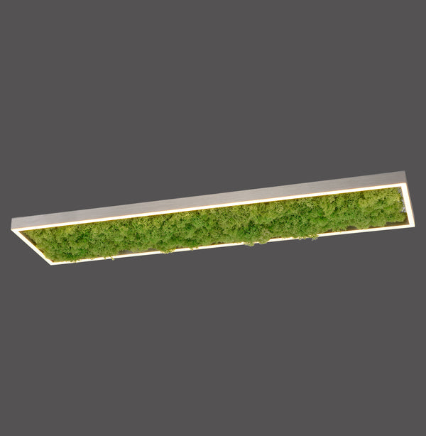 Plafonnier LED | Green Knut