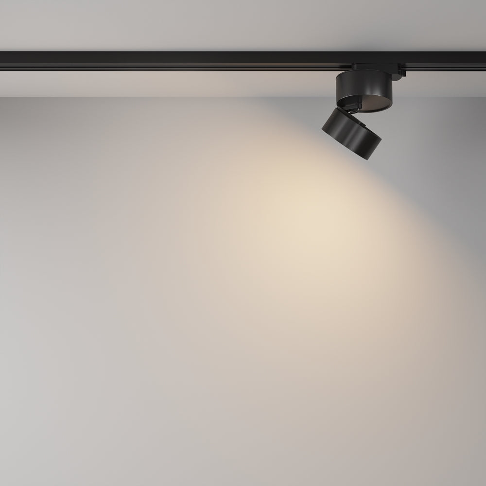 ONDA Spot noir