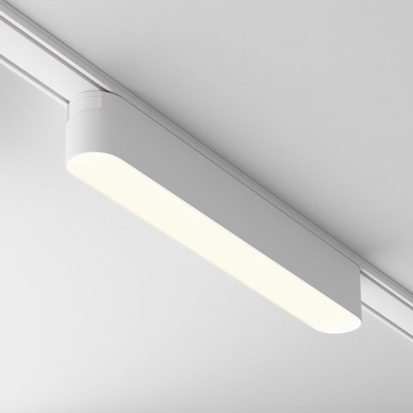 Basis Spot blanc
