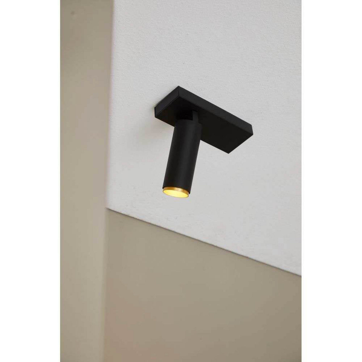 Spot noir en situation, installé sur un mur clair, tête inclinée vers le bas.
