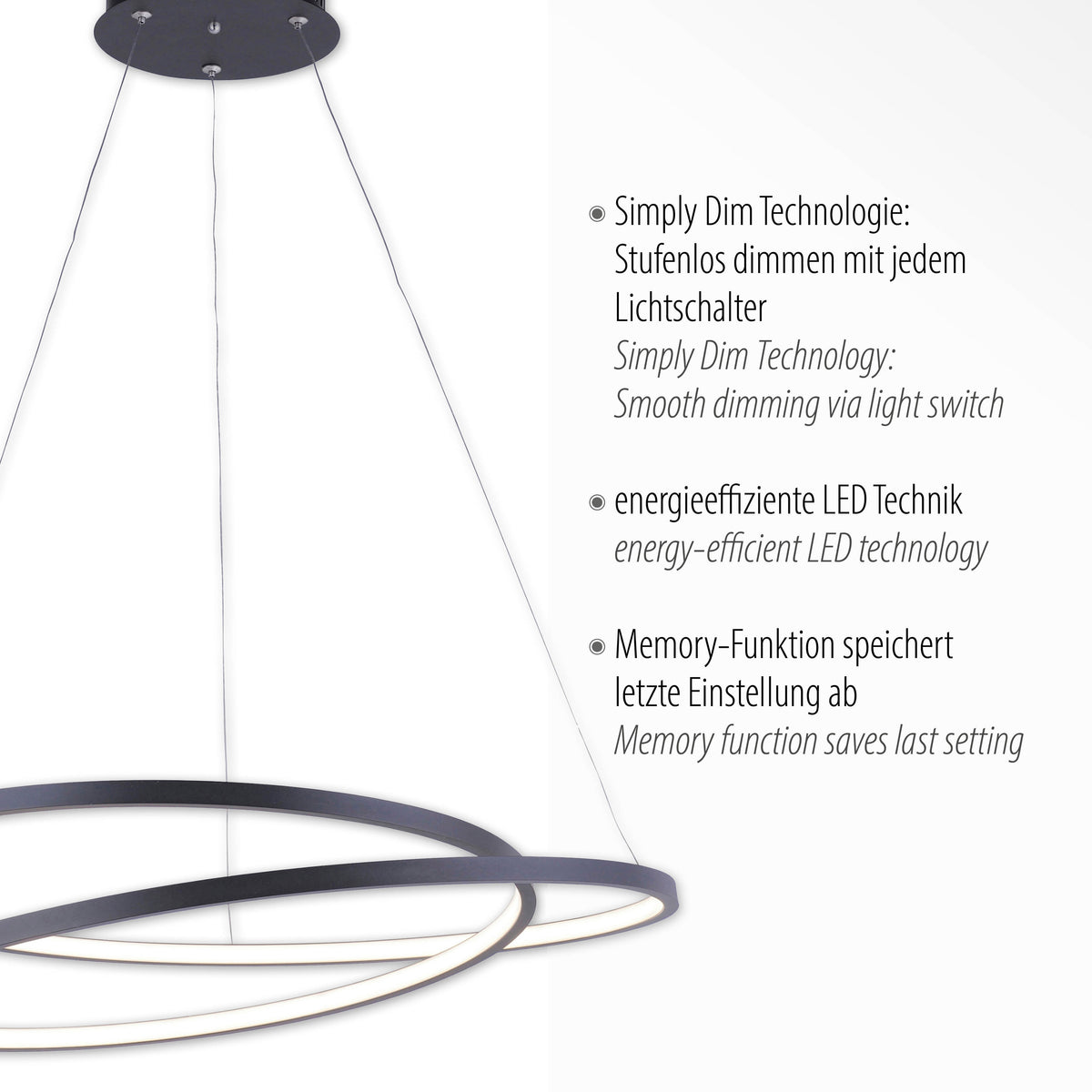 Détail du luminaire accompagné des caractéristiques techniques en allemand et anglais