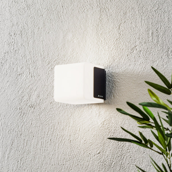 Applique d'extérieur LED L 835 C, anthracite et blanc, hauteur 11 cm, IP44