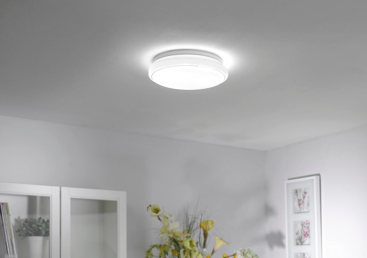 Plafonnier installé au plafond, éclairant un séjour avec fleurs jaunes.