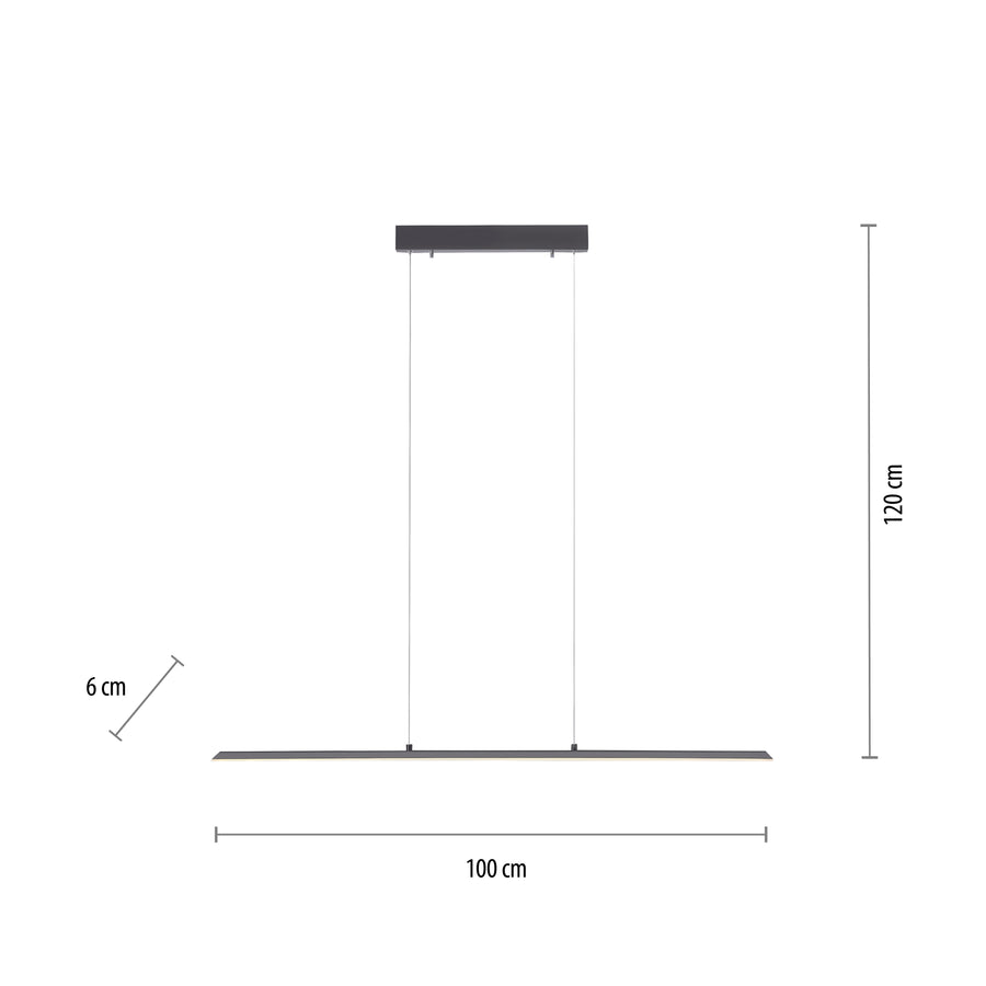 Suspension Pure-Lite anthracite, P 100 cm