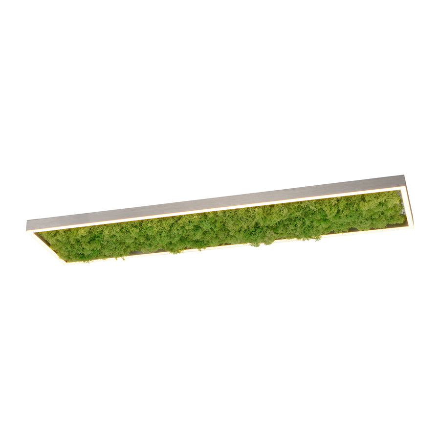 Plafonnier Green Knut