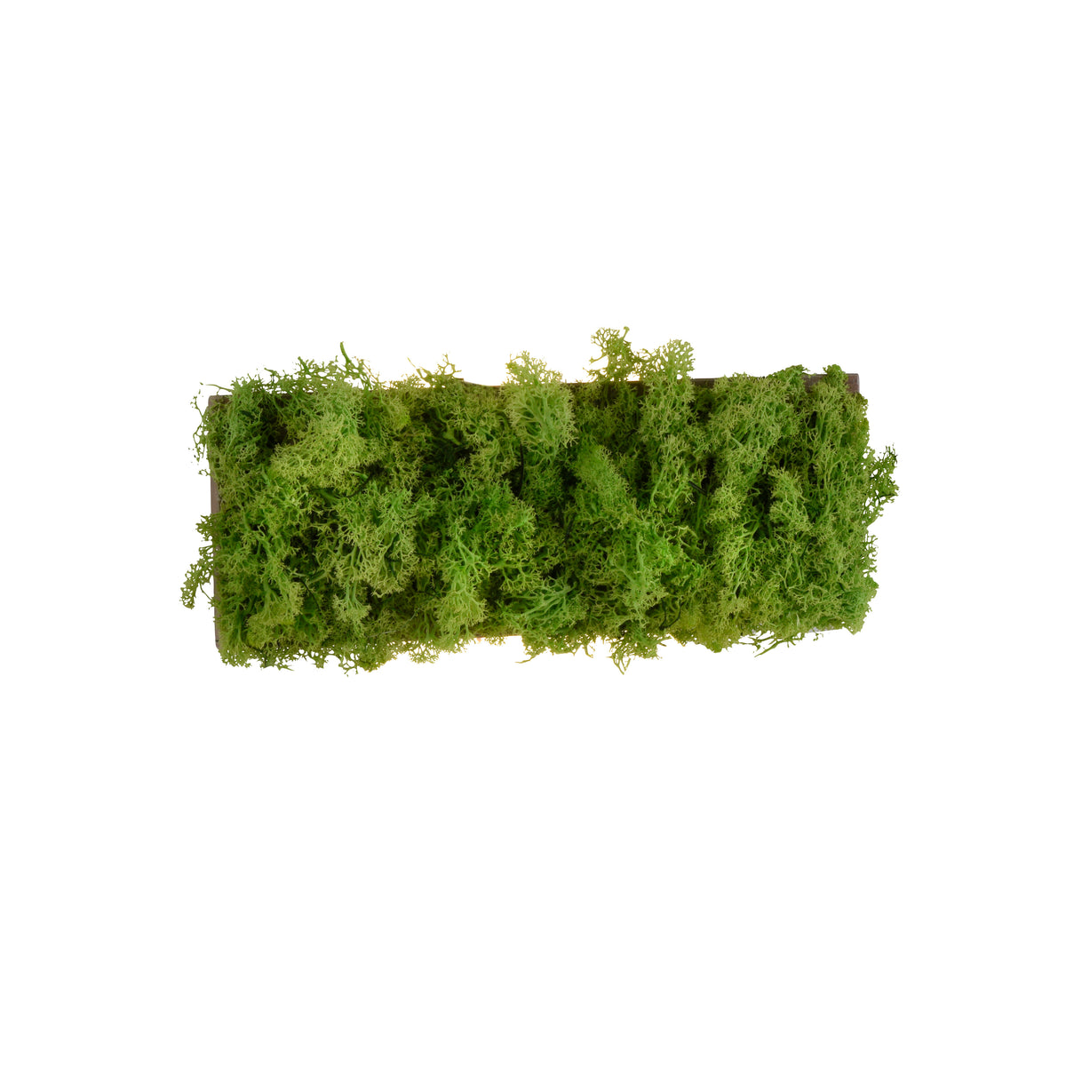Plafonnier Green Carl