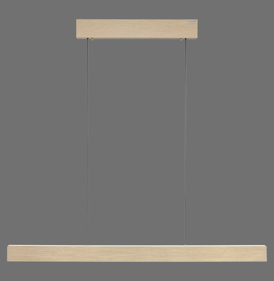 Vue de face de la suspension linéaire et de son support de plafond
