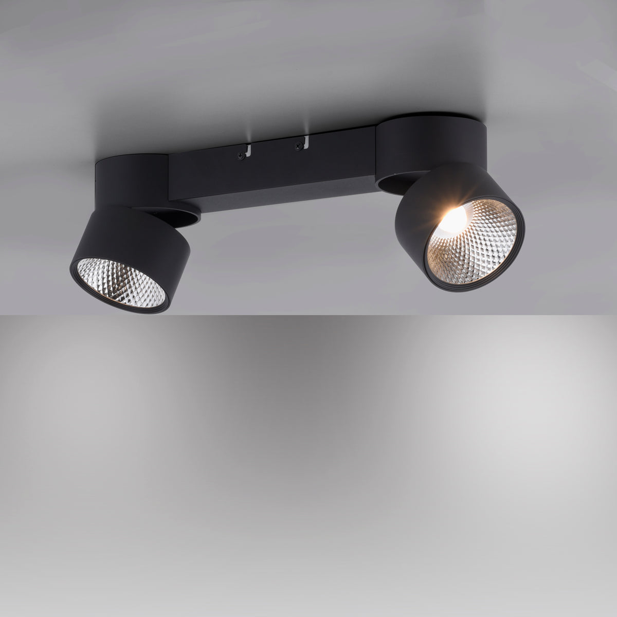 Plafonnier noir fixé au plafond, deux spots orientables dont un allumé.