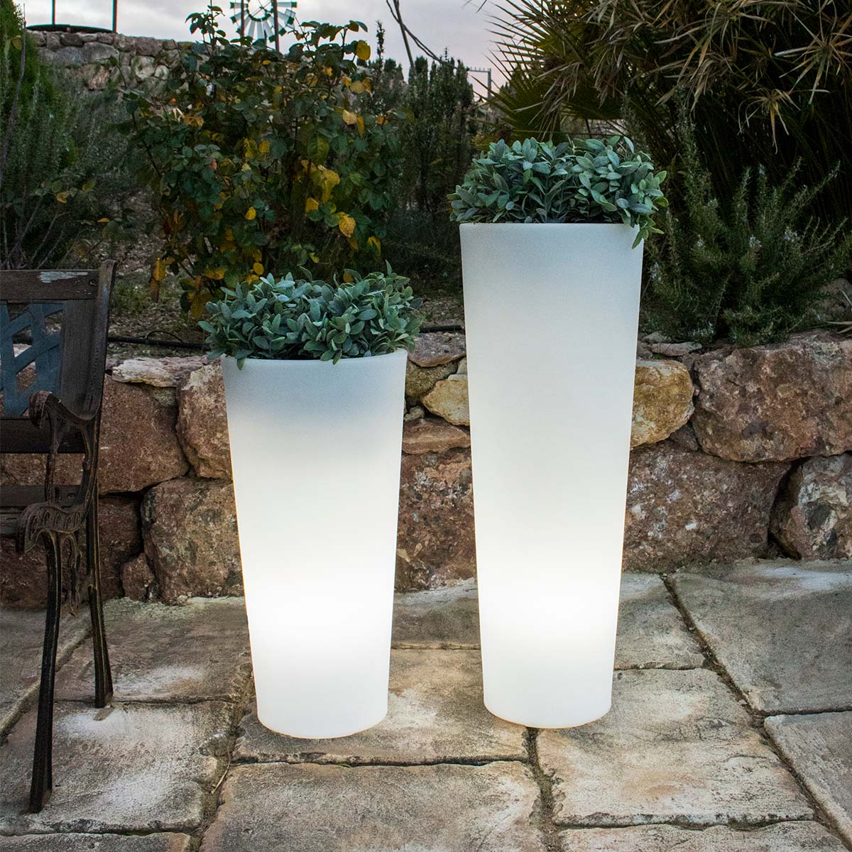 Jardinière lumineuse cylindrique Ficus