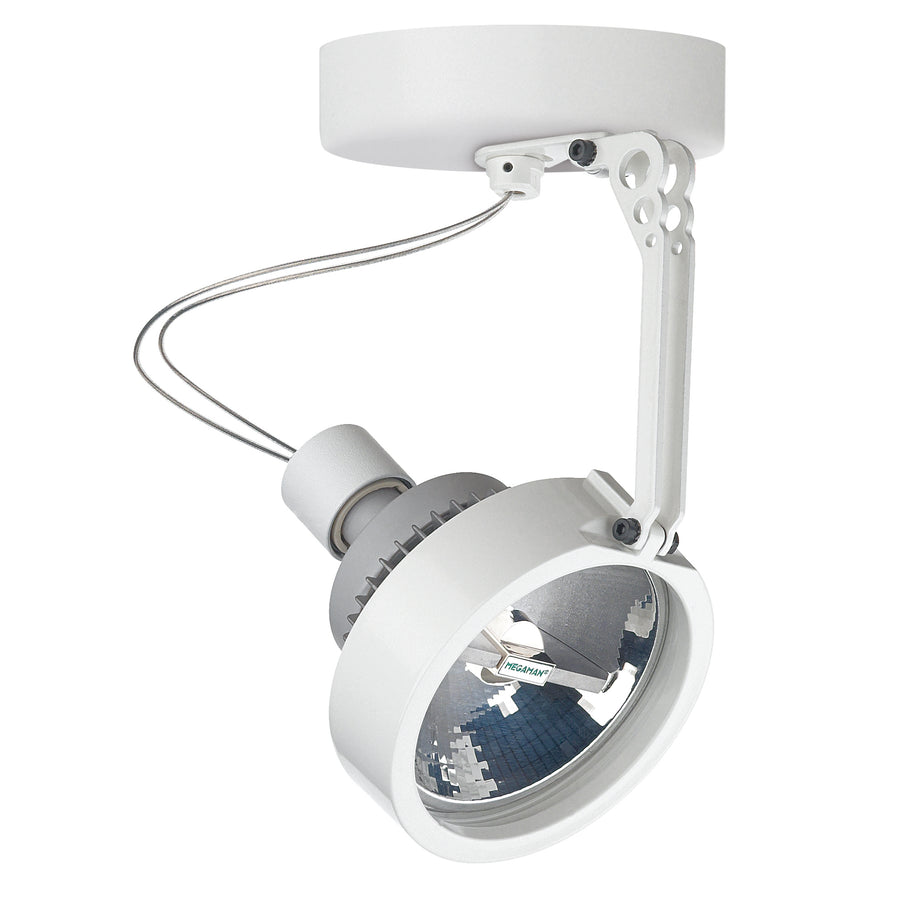 Spot blanc orientable vu de trois quarts avec réflecteur métallique et bras articulé.