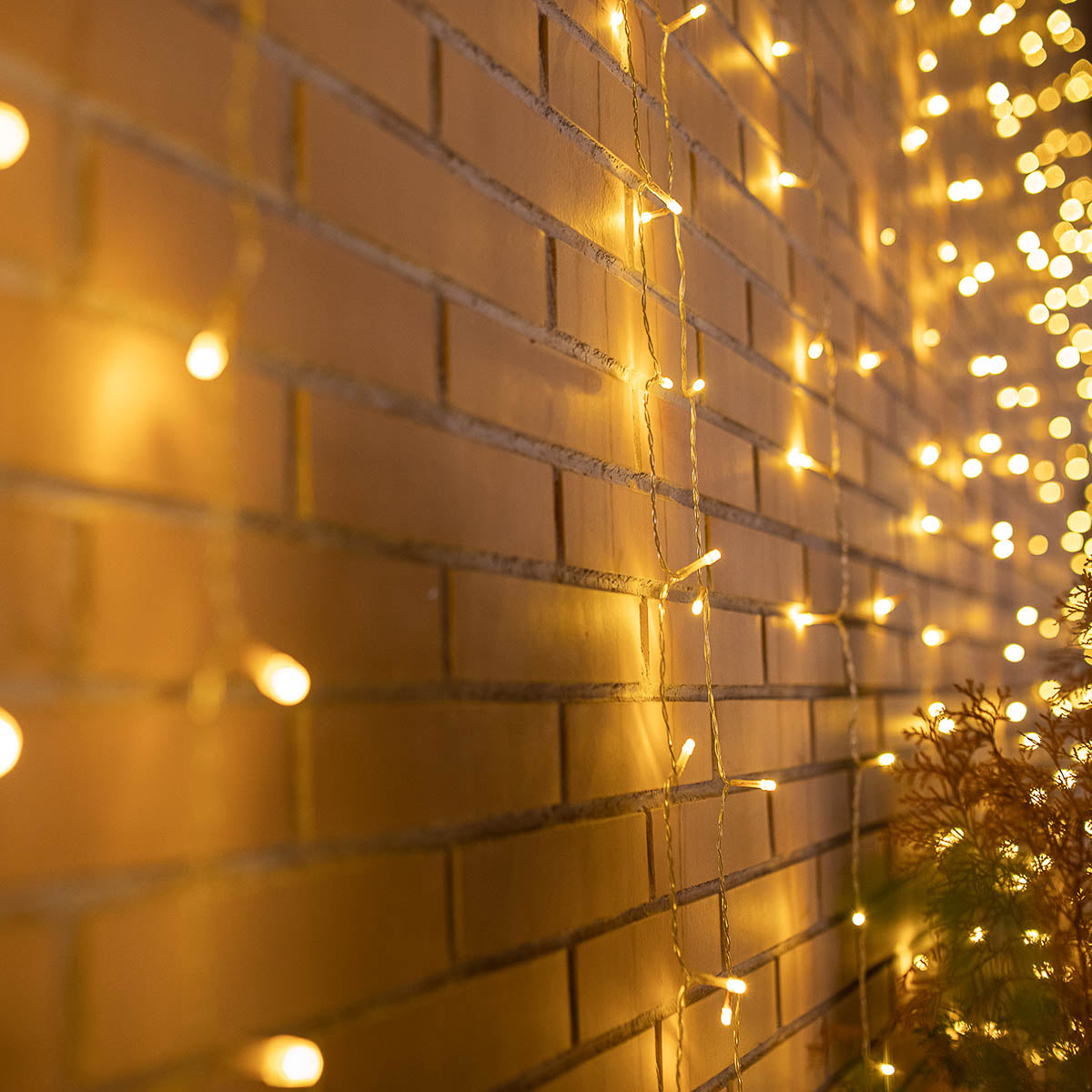 Rideau lumineux d'extérieur Luceo 3 x 2 m
