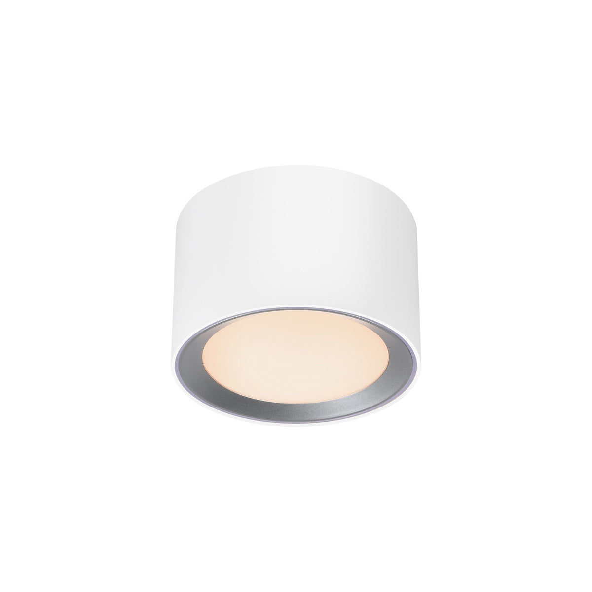 Plafonnier LED Landon Smart