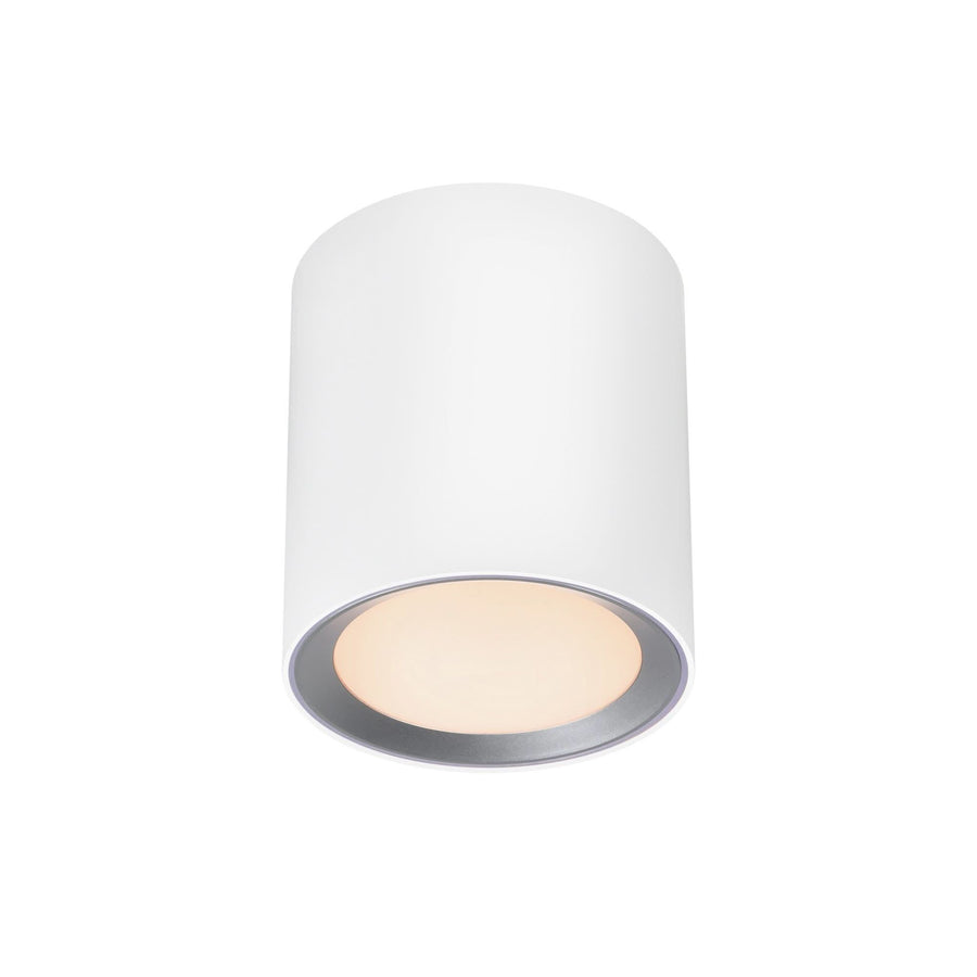 Plafonnier LED Landon Smart Long