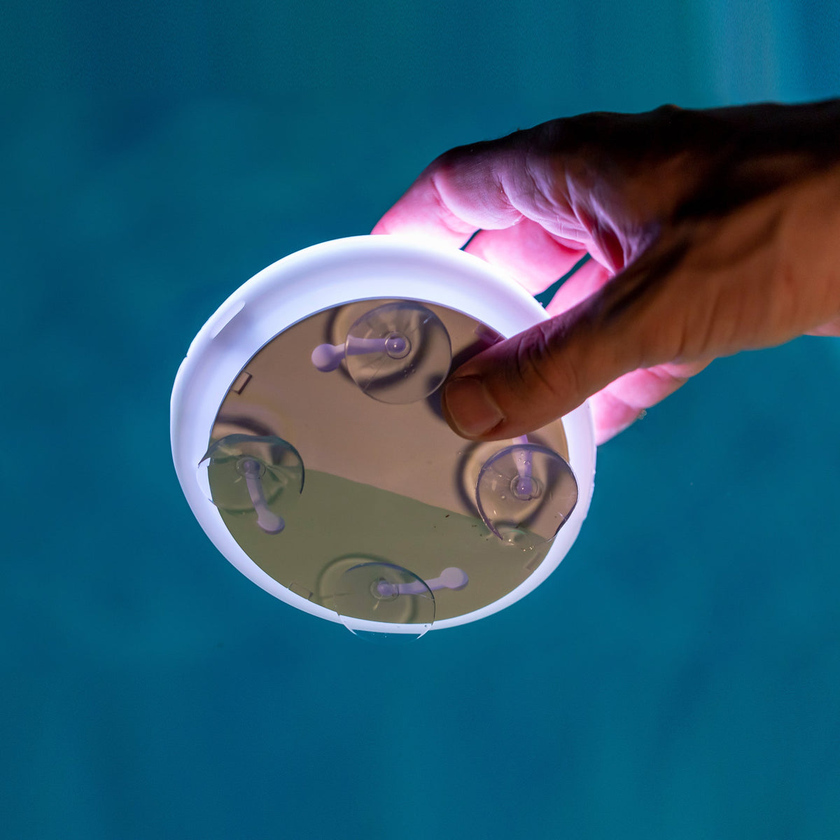 Lampe de piscine sans fil Papaya 12 Battery