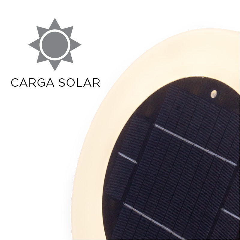 Lampe de piscine solaire sans fil Papaya 30