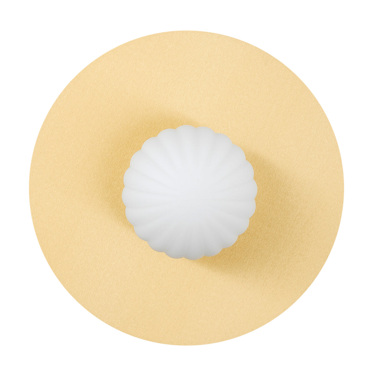 Applique murale Paloma 1 lumière 8503