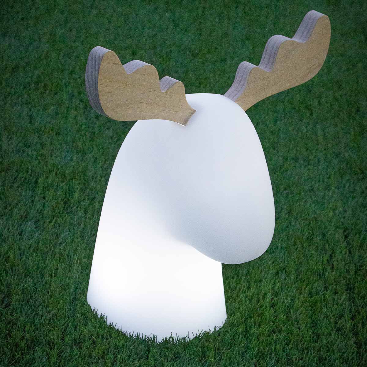 Renne lumineux Rudy