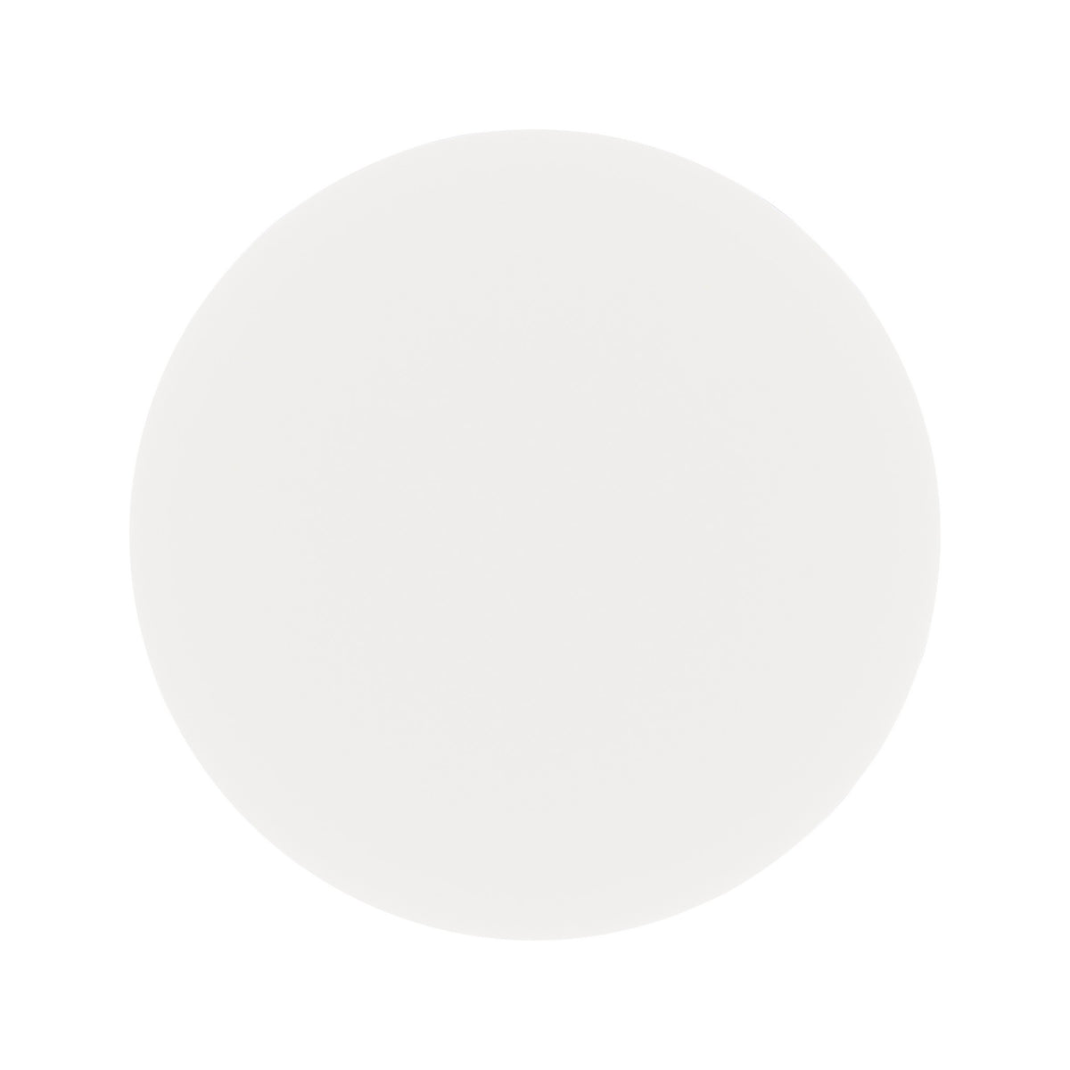 Vue de face du disque lumineux blanc uniforme, diffuseur opalin sans fixation visible
