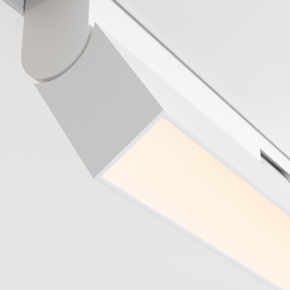 Basis Rot Spot blanc