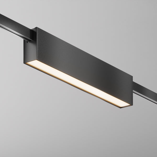 Basis Spot noir