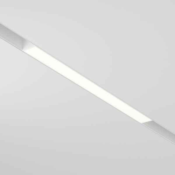 Basis Spot blanc