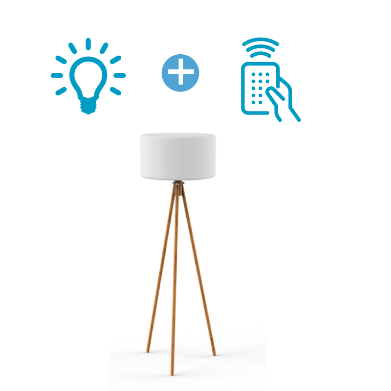 Ampoule In and Out A60 6 W E27 avec télécommande