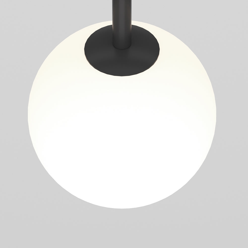 Luna Spot noir